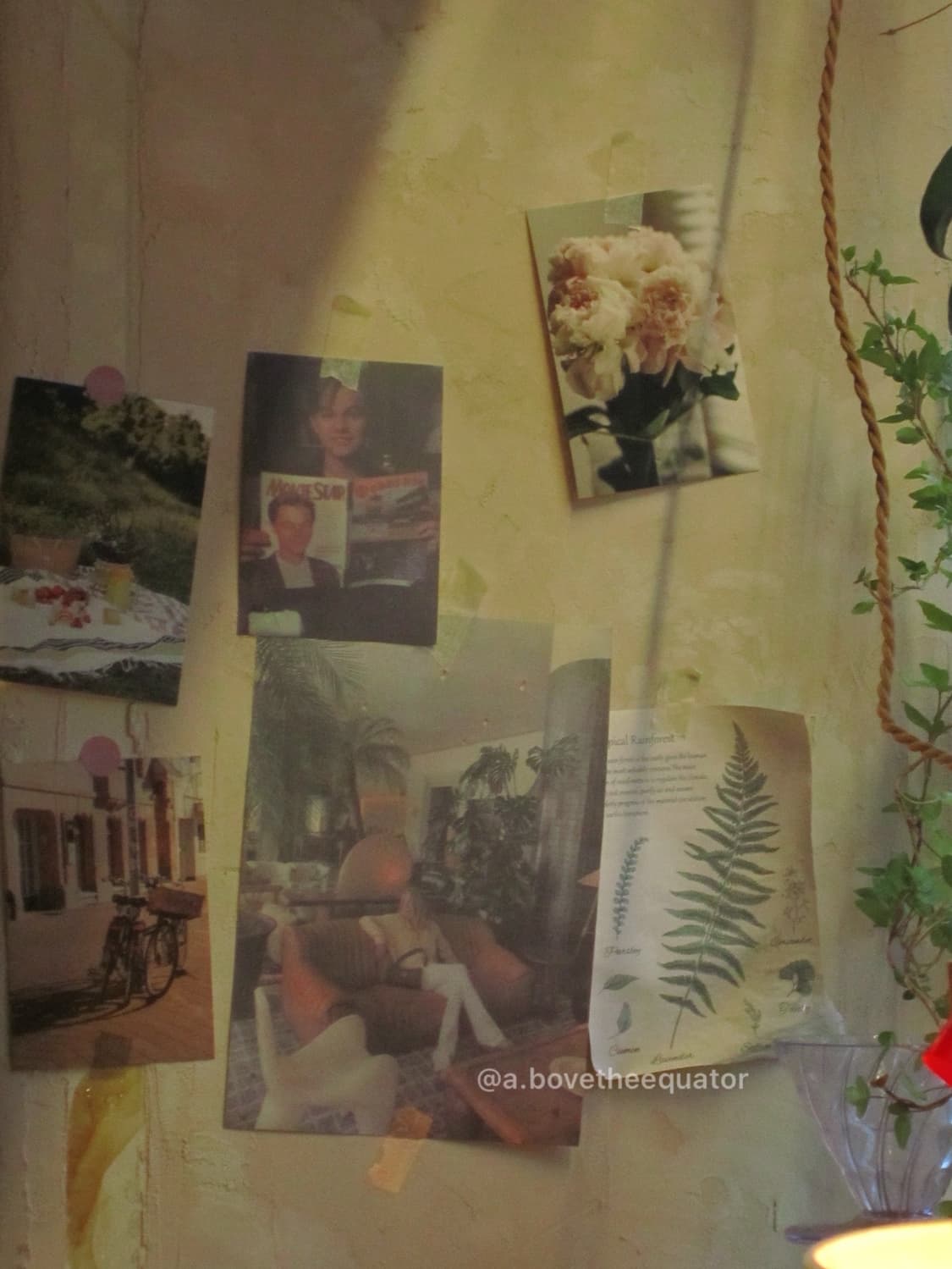 캐논 지구, 익서스, 카시오, 폴라로이드 카메라 업로드 예정 목록 상품이미지1