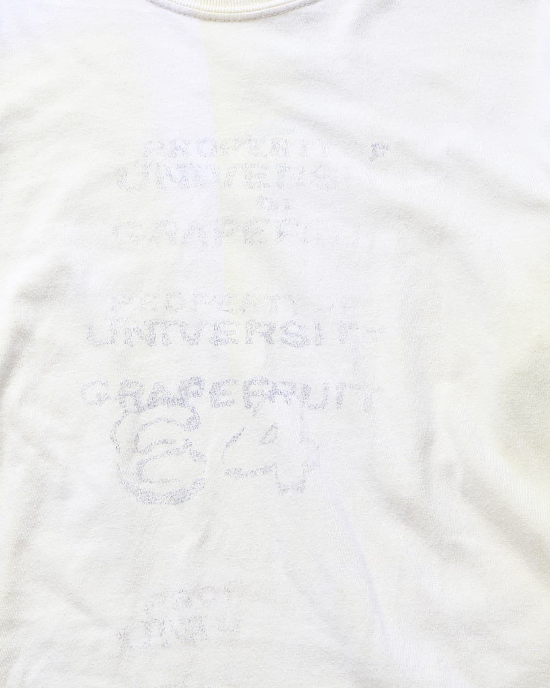 BOWWOW Univ Of Grapefruits L/S Tee 상품이미지8