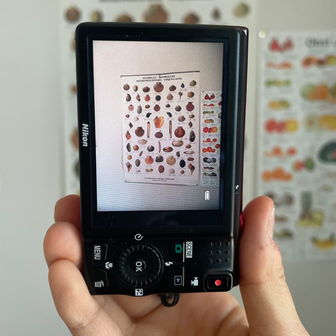 니콘 쿨픽스 s6200 Nikon Coolpix S62 상품이미지4