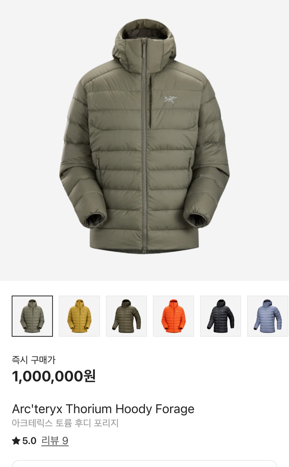 아크테릭스 토륨 포리지 2xl 상품이미지1