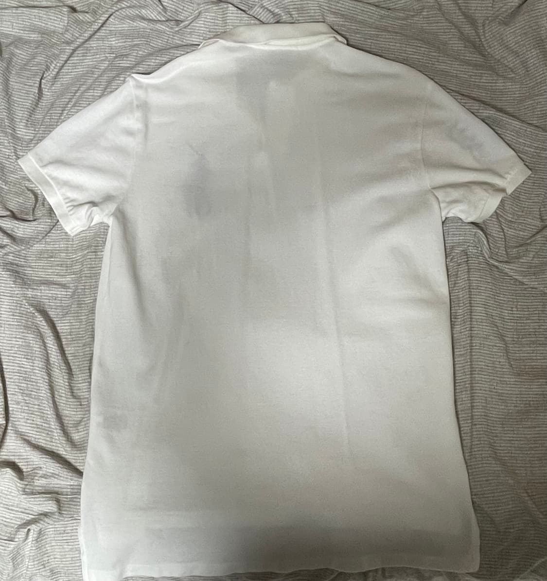 폴로 빅포니 카라티 팝니다. 상품이미지4