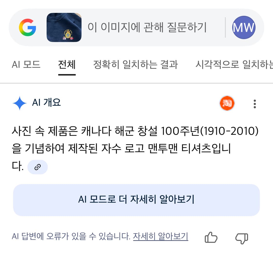 택포) 캐나다 100주년 (해군 창설) 기념 길단 빈티지 스웻셔츠 맨투맨 상품이미지4