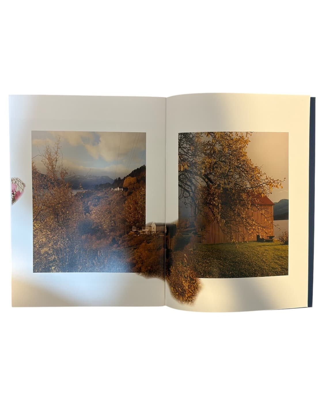 Comme des garcons dm 아트북 상품이미지2