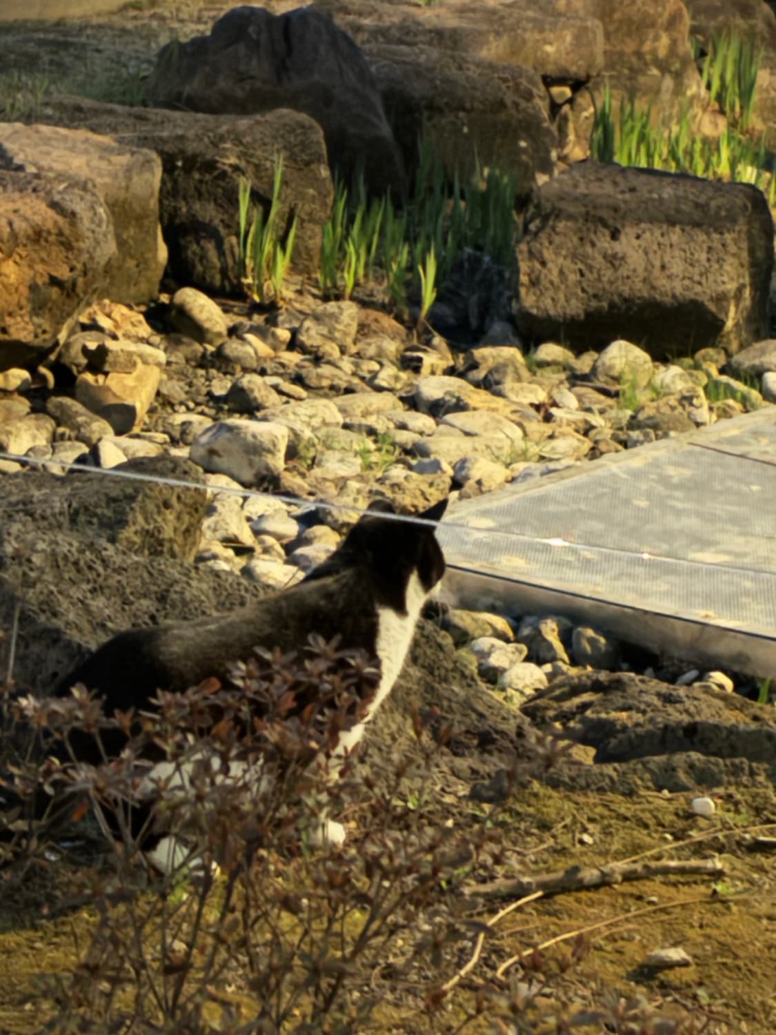 오프화이트 상품이미지4