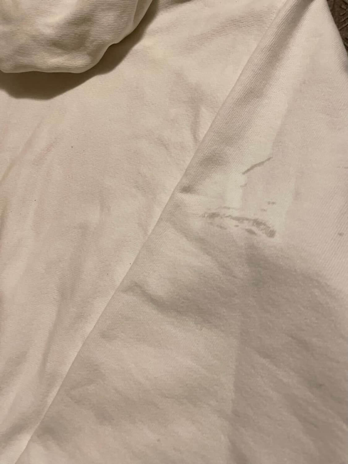 챔피온 후드 80s usa 상품이미지7