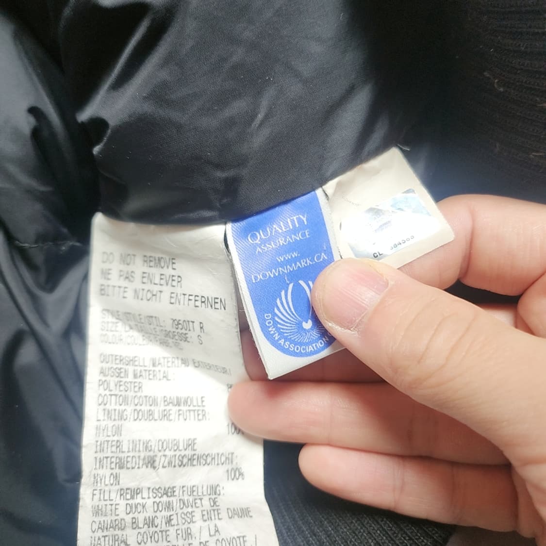 [S] 캐나다구스 숏패딩 상품이미지5