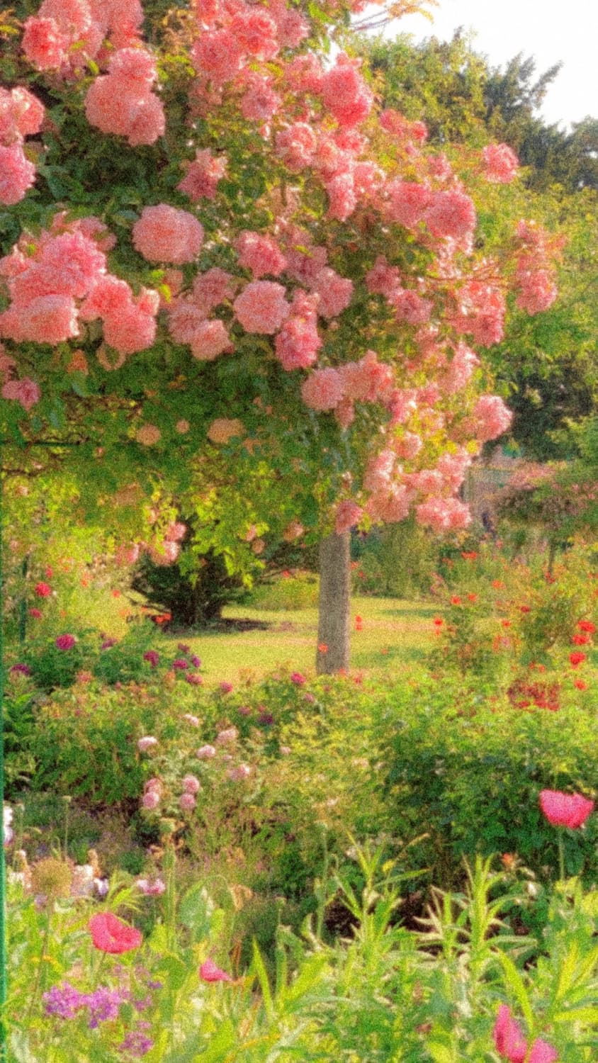 포터도트카드지갑구합니다!! 상품이미지1