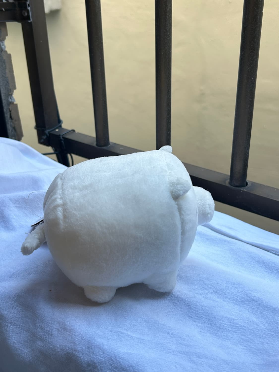 돼지인형  상품이미지5