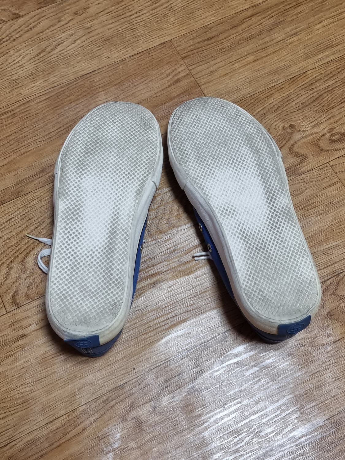 Collective Canvas 스니커즈 상품이미지6