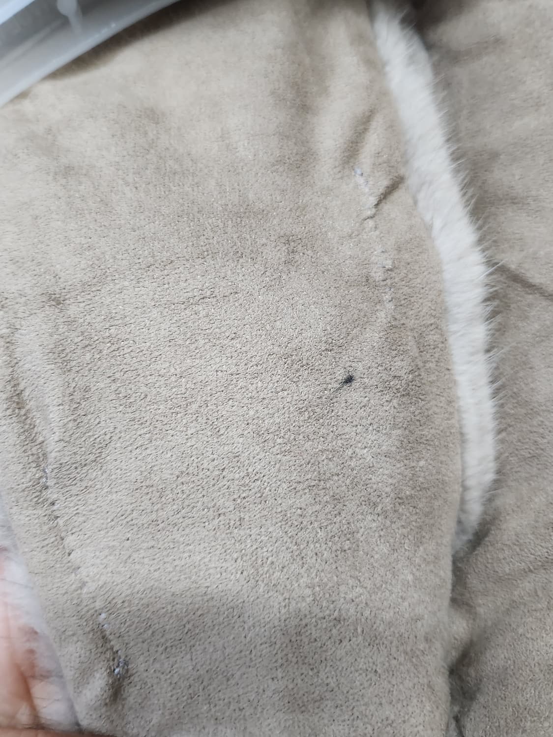 벨리노 BELLINO 밍크100 목도리 상품이미지4