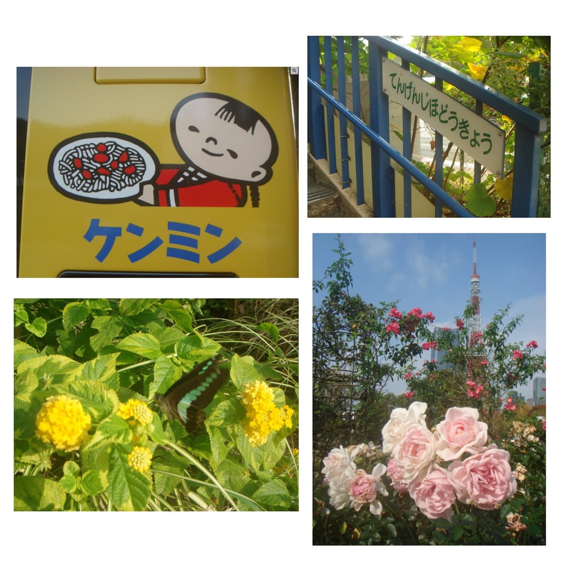 소니 사이버샷 dsc t9 블랙컬러 ( 작례 0) 상품이미지3