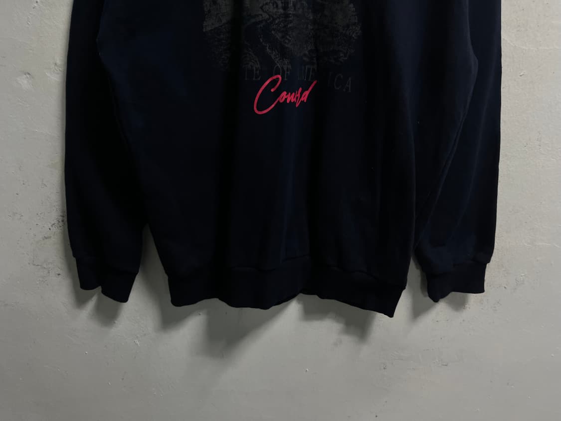 (100-105) Dtm 빅로고 프린팅 스웻 맨투맨 상품이미지3