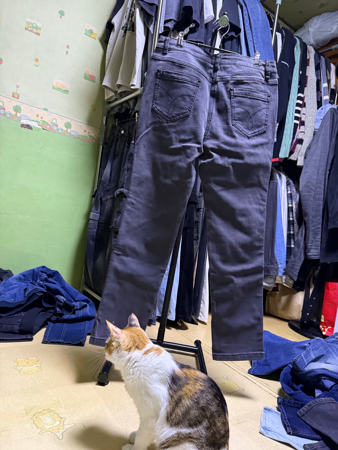 안녕하세여 cutter&buck 31사이즈 기모바지 일자핏 판매합니다! 상품이미지2