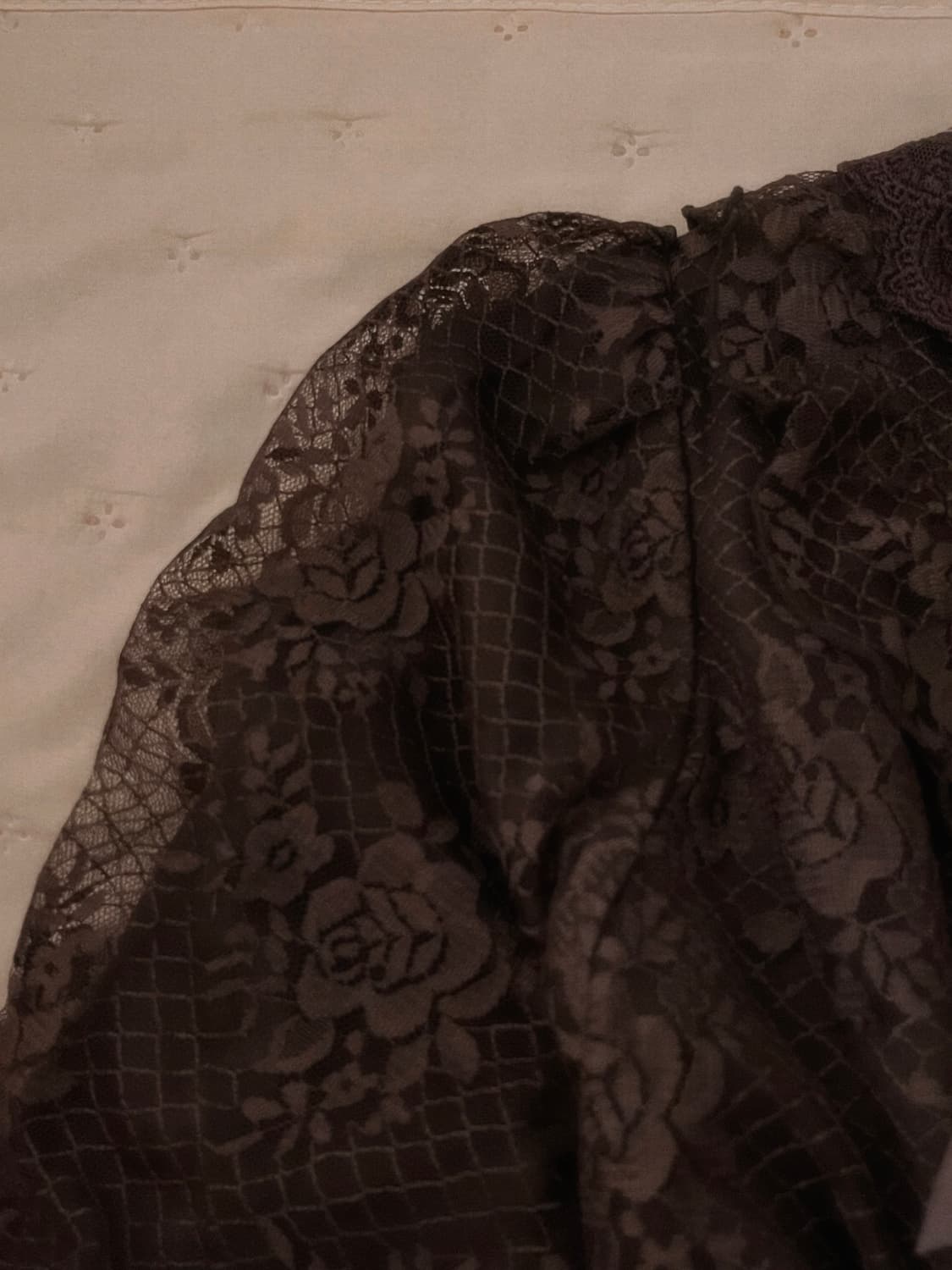 axes femme 앤틱 로즈 레이스 시스루 블라우스 짜잔씨 리즈리사 상품이미지2