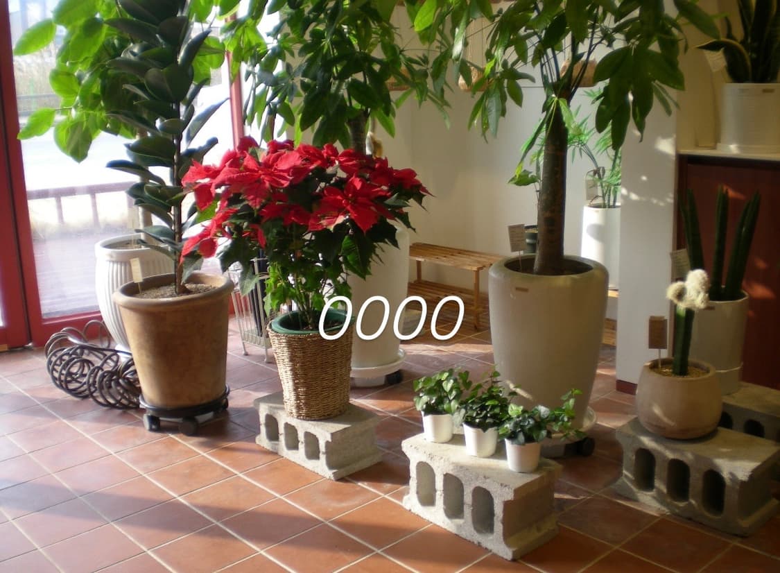 Nikon 니콘 쿨픽스 S200 레드 (작례o) 상품이미지10