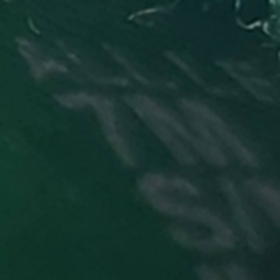 H 토리버치 여성 그린 플랫슈즈 7 240 상품이미지6