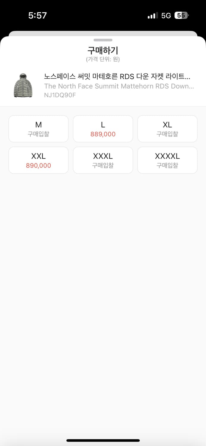노스페이스 써밋 마테호른 RDS  상품이미지8