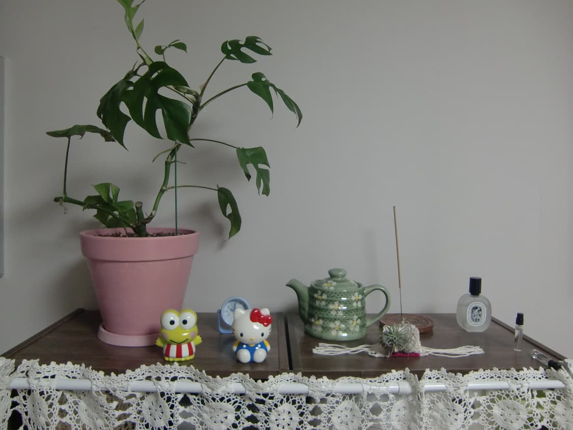 태연디카) 카시오 엑슬림 z400 핑크 상품이미지8