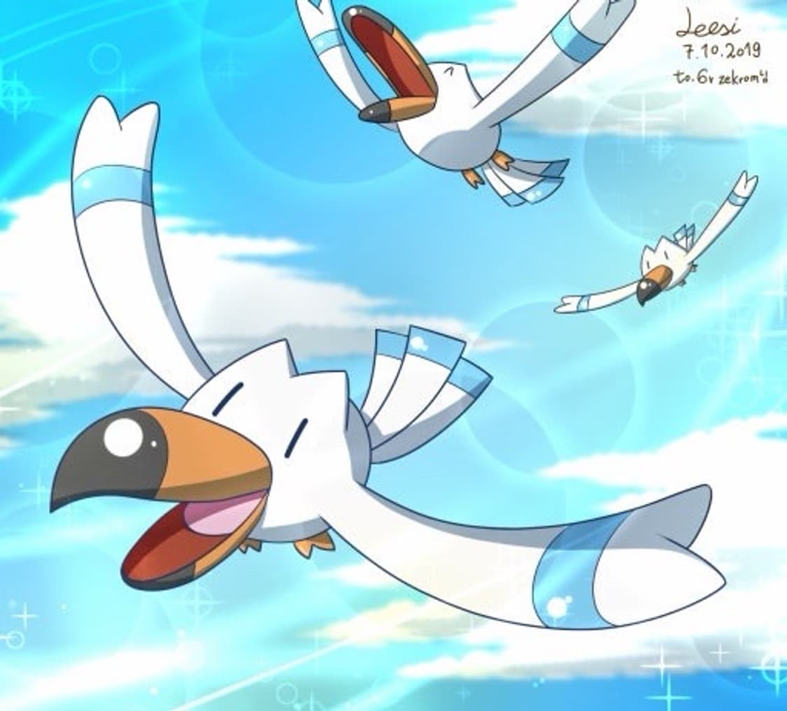 일본 포켓몬 갈모매 캬모메 마스코트 봉제인형 새상품 상품이미지7