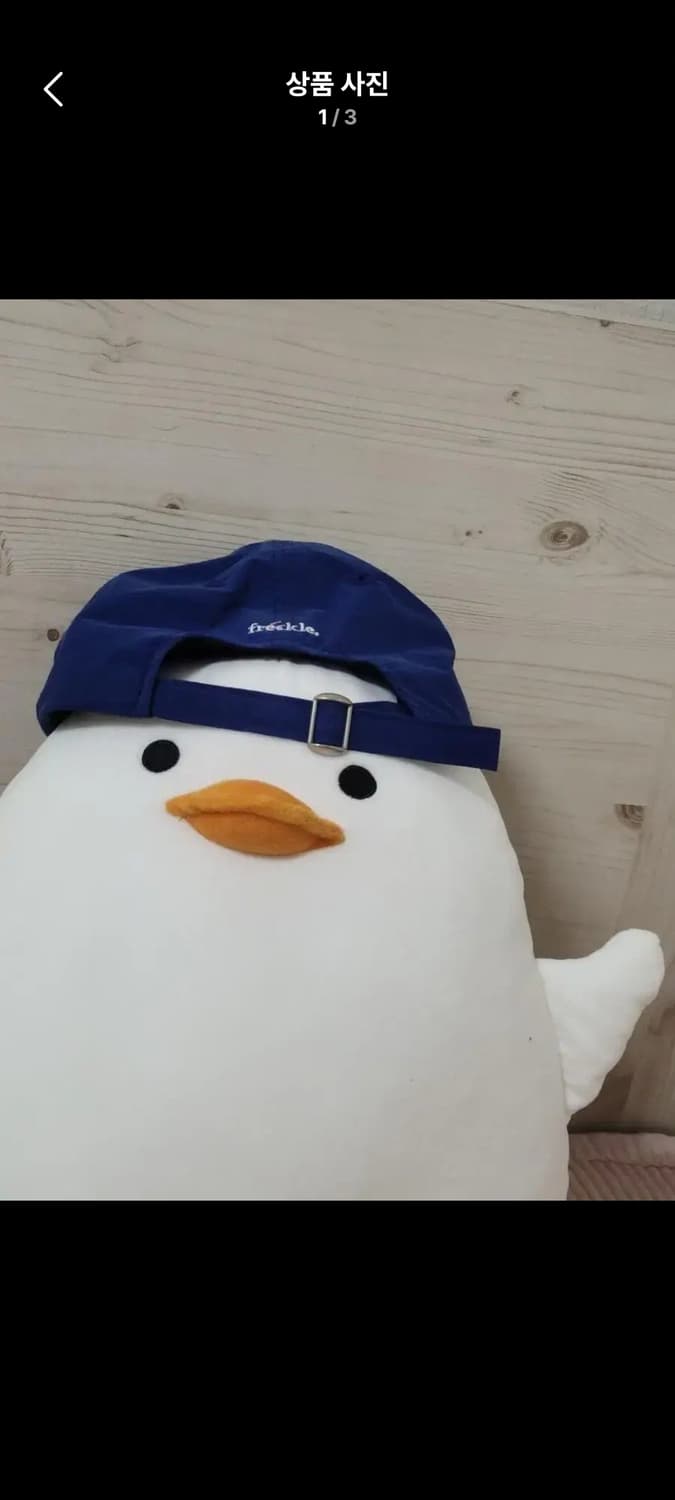 bear logo cap in blue 상품이미지2