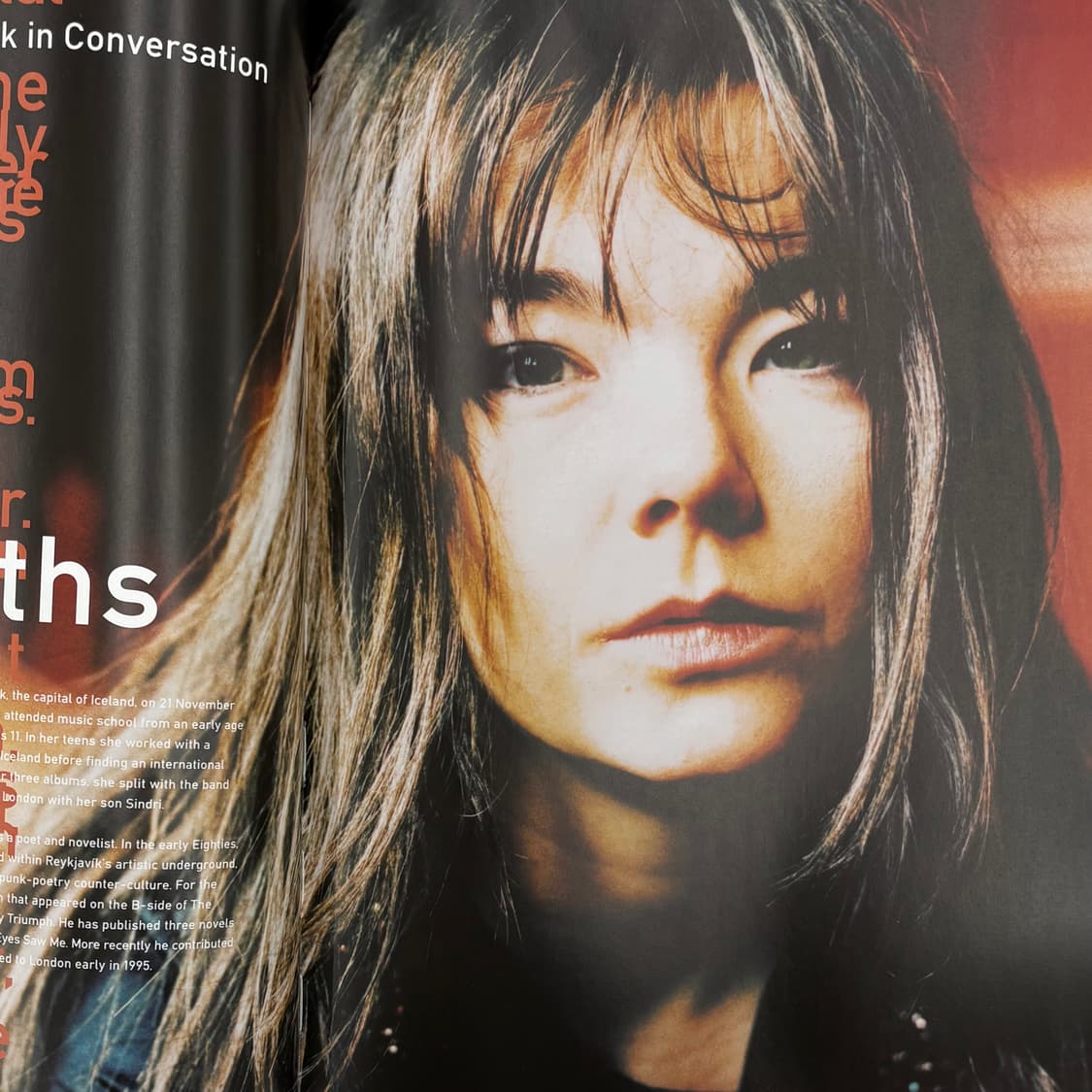 Björk Post Book (1995) 비요크 상품이미지8