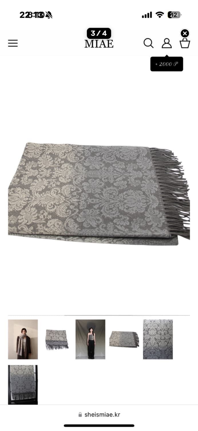 미애 오리엔탈 페이즐리 머플러 그레이 상품이미지3