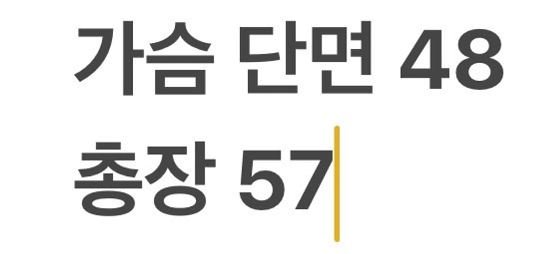 [정품/95] 디스커버리 블랙 경량 패딩 자켓 b12 상품이미지8