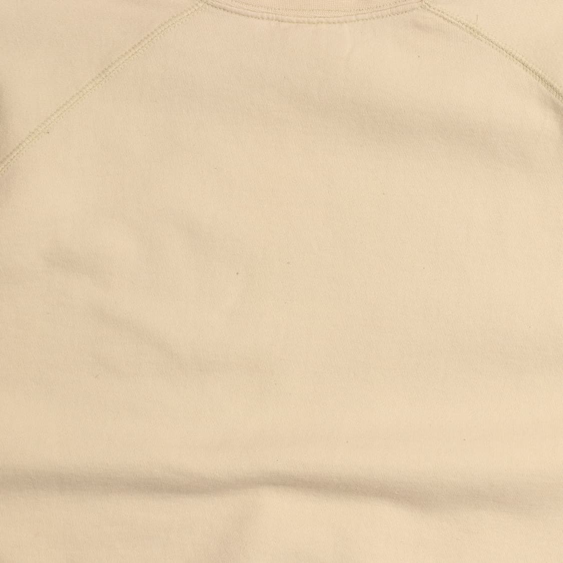 챔피온 엠보싱 로고 스웻셔츠 A1577 상품이미지6