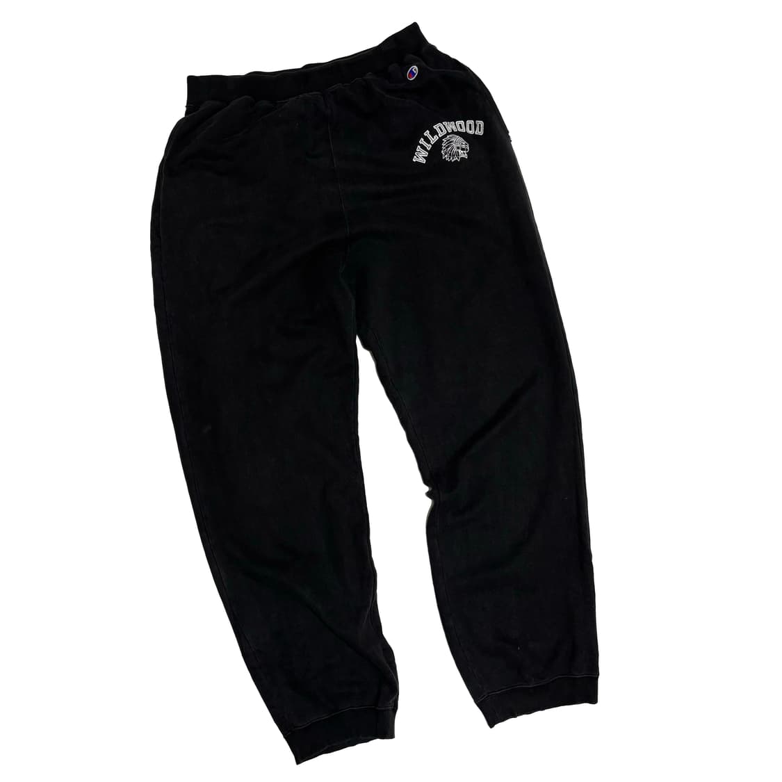 챔피온 와일드우드 그래픽 스웨트 팬츠 상품이미지1