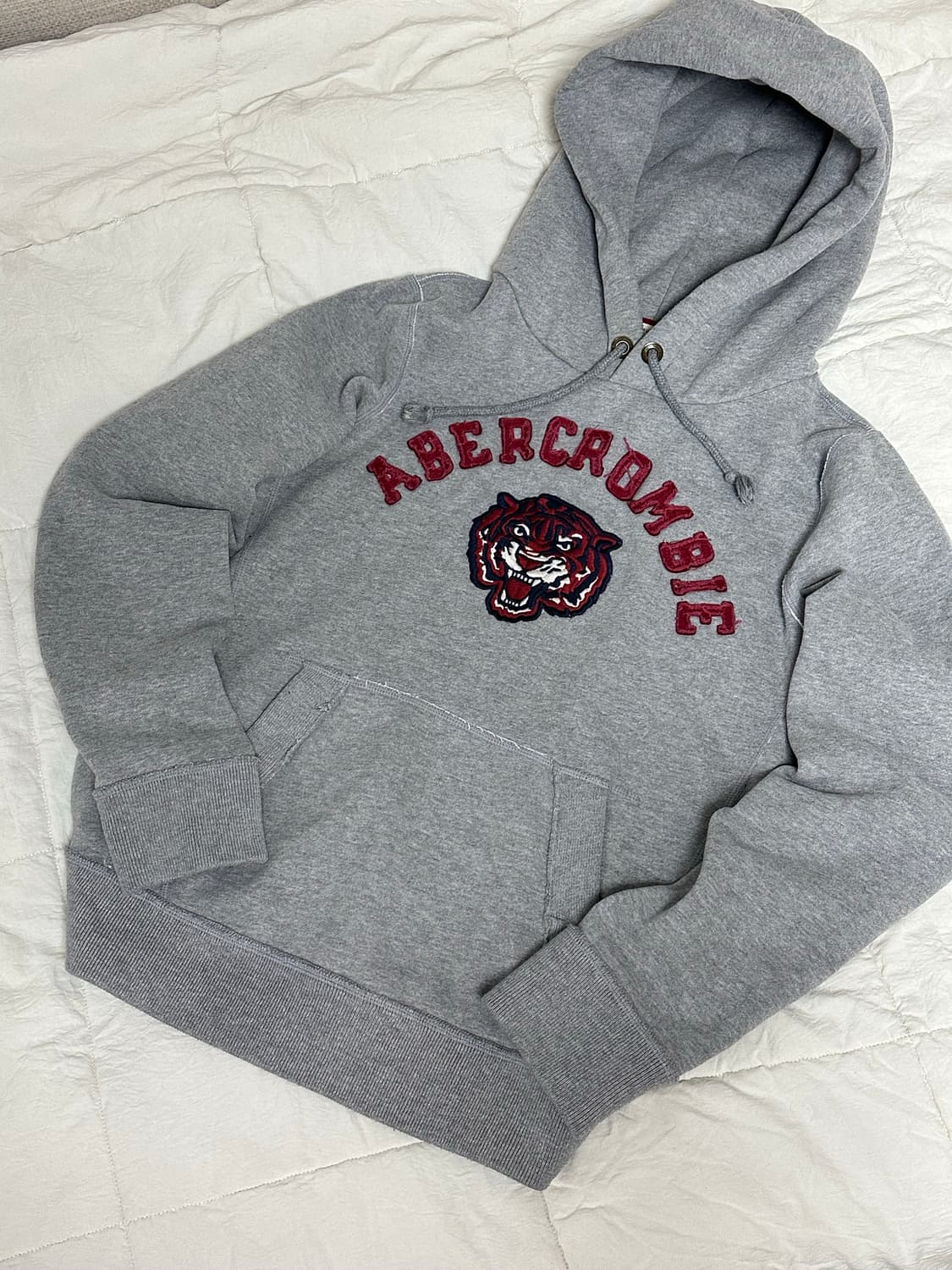 아베크롬비 타이거 Y2K 후드티 미디움 상품이미지1