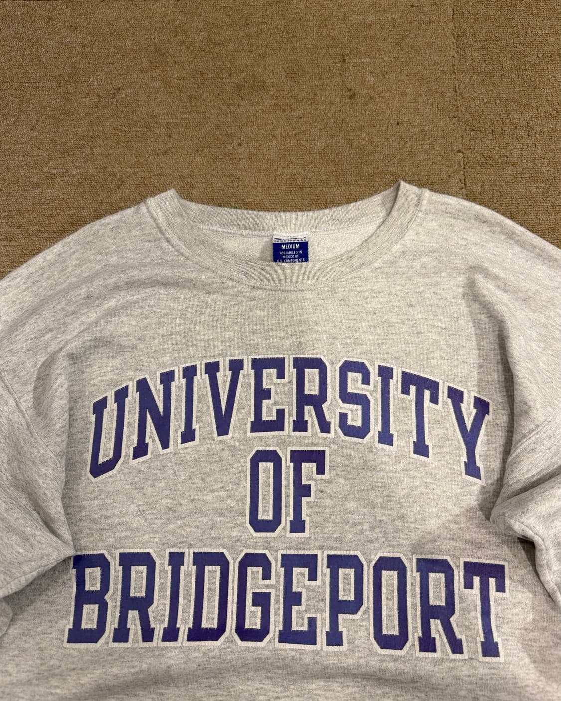 챔피온 UNIVERSITY OF BRIDGEPORT 맨투맨 상품이미지2