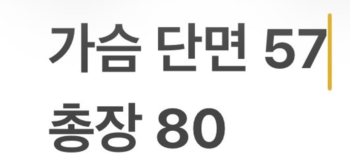 [XL] 롯데 자이언츠 올드 유니폼 레드 b17 상품이미지7