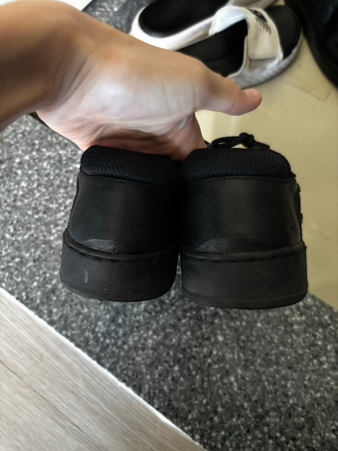 프라다 아메리카컵 260~65 상품이미지6