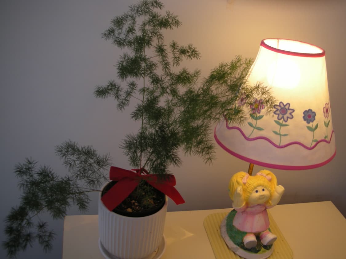 작례 O) 니콘 쿨픽스 Nikon Coolpix S7 상품이미지6