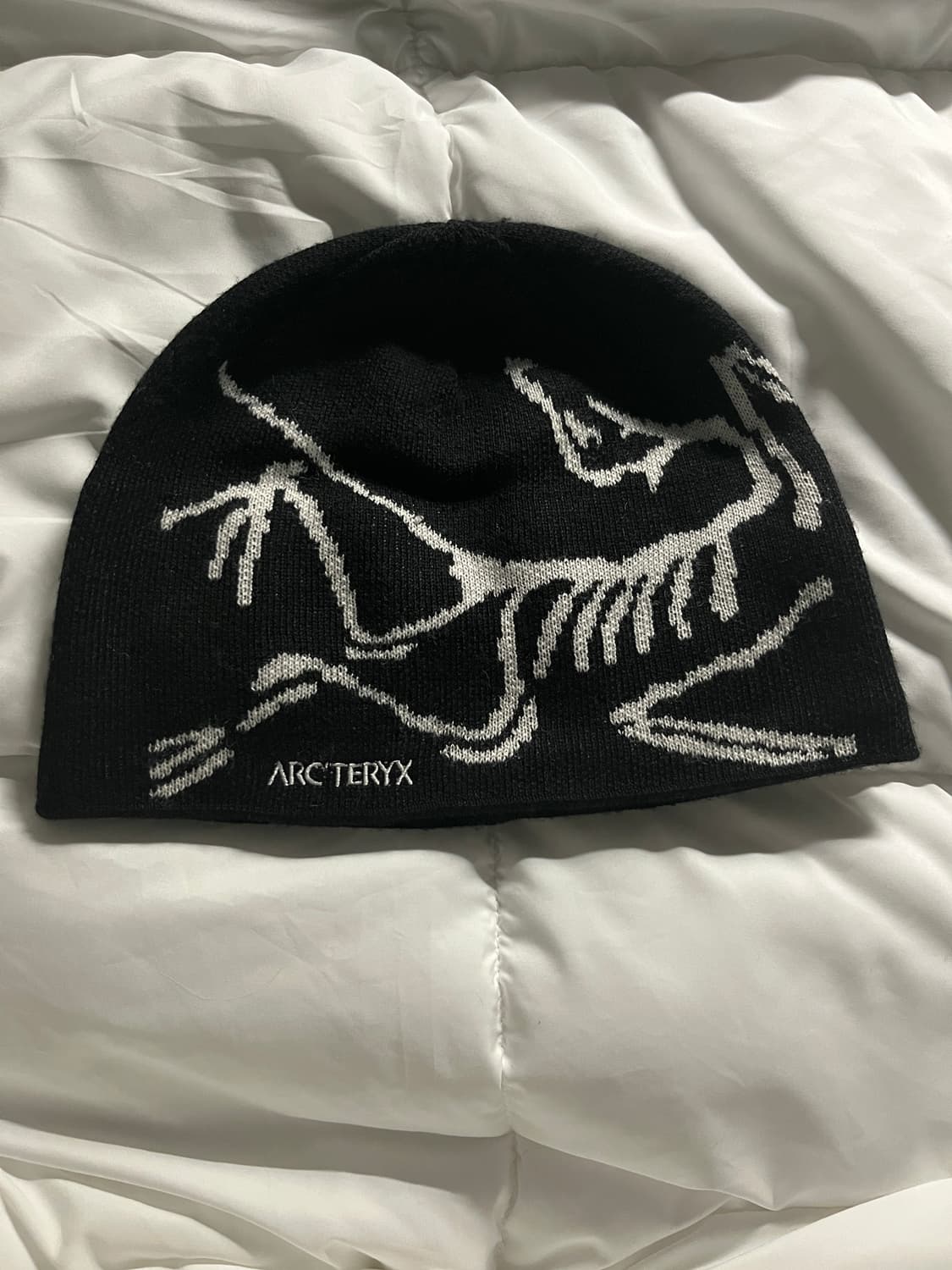 아크테릭스  상품이미지2