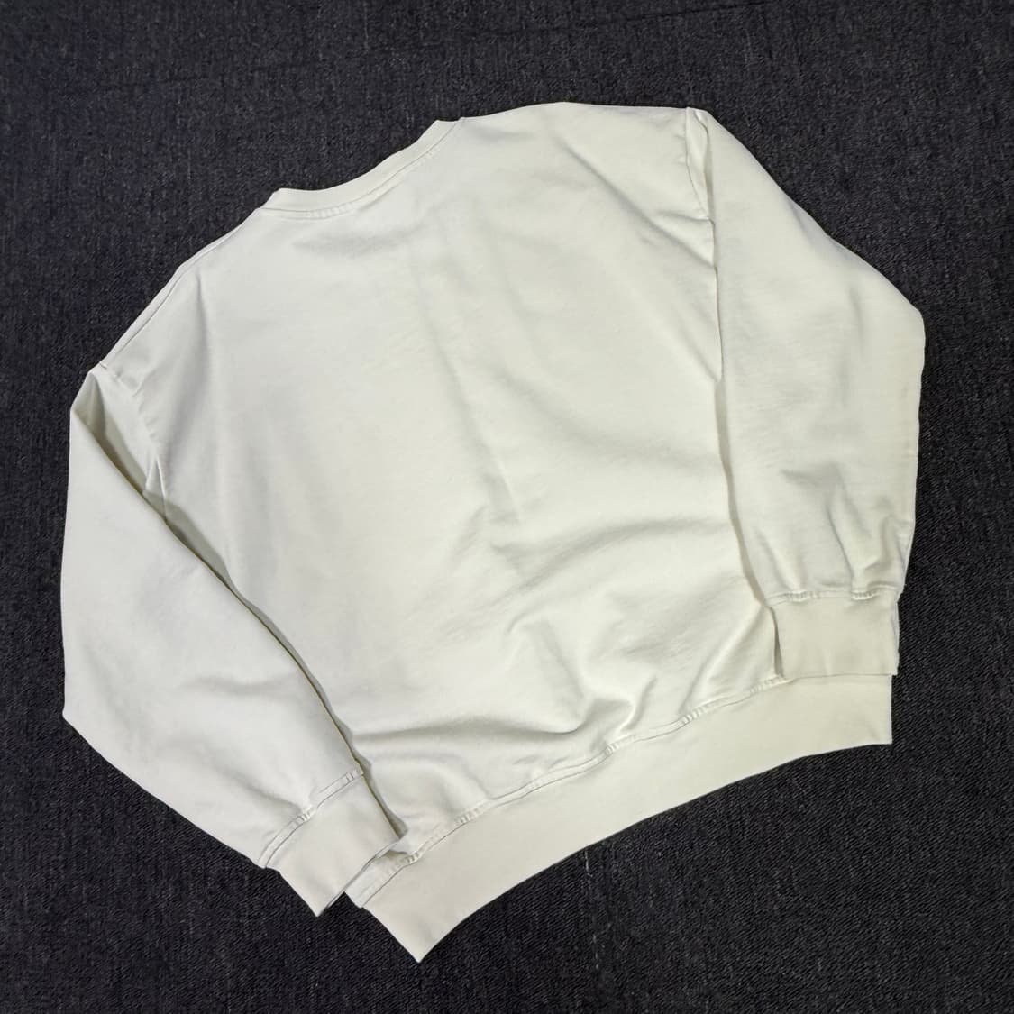 GANNI 가니 24SS 이솔리 오버사이즈 맨투맨 상품이미지6