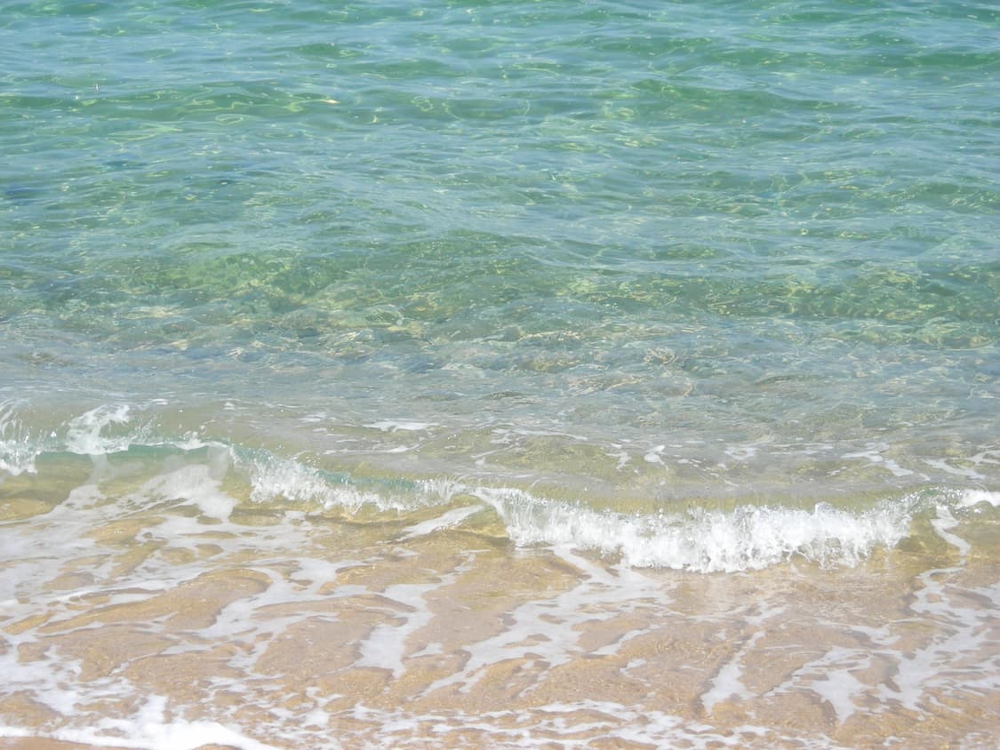 NIKON Coolfix L6 빈티지 카메라 (+니콘 케이스) 상품이미지2