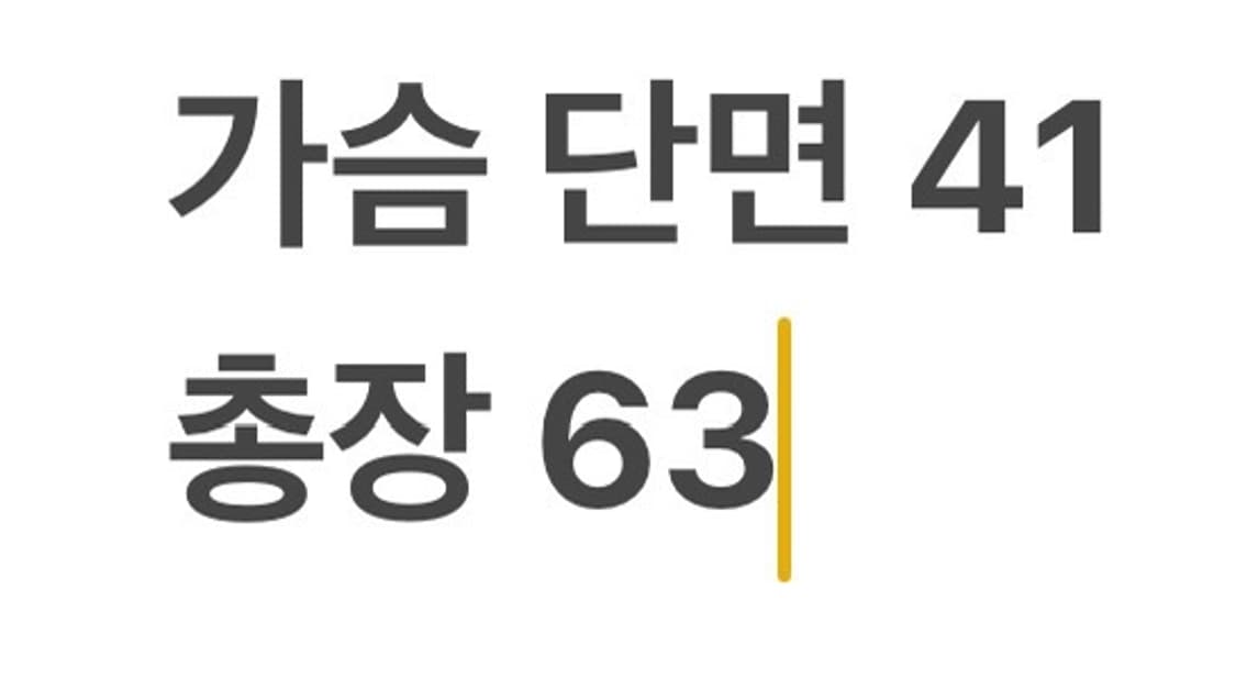 [정품/S] 아크테릭스 레드 긴팔 반집업 긴팔티셔츠 b18 상품이미지8