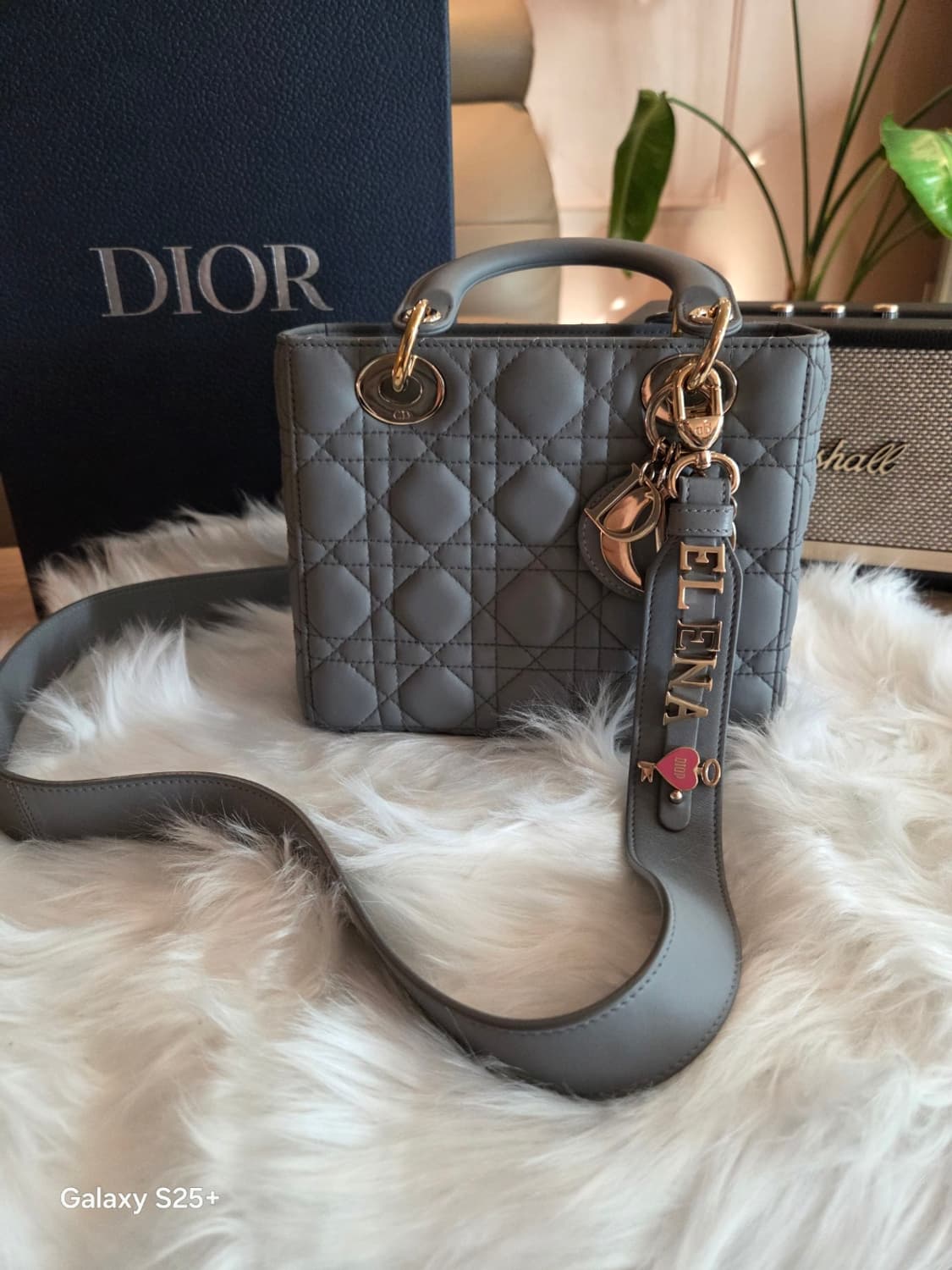 디올 레이디백 최신형 디자이너 엘레나 에디션 상품이미지2