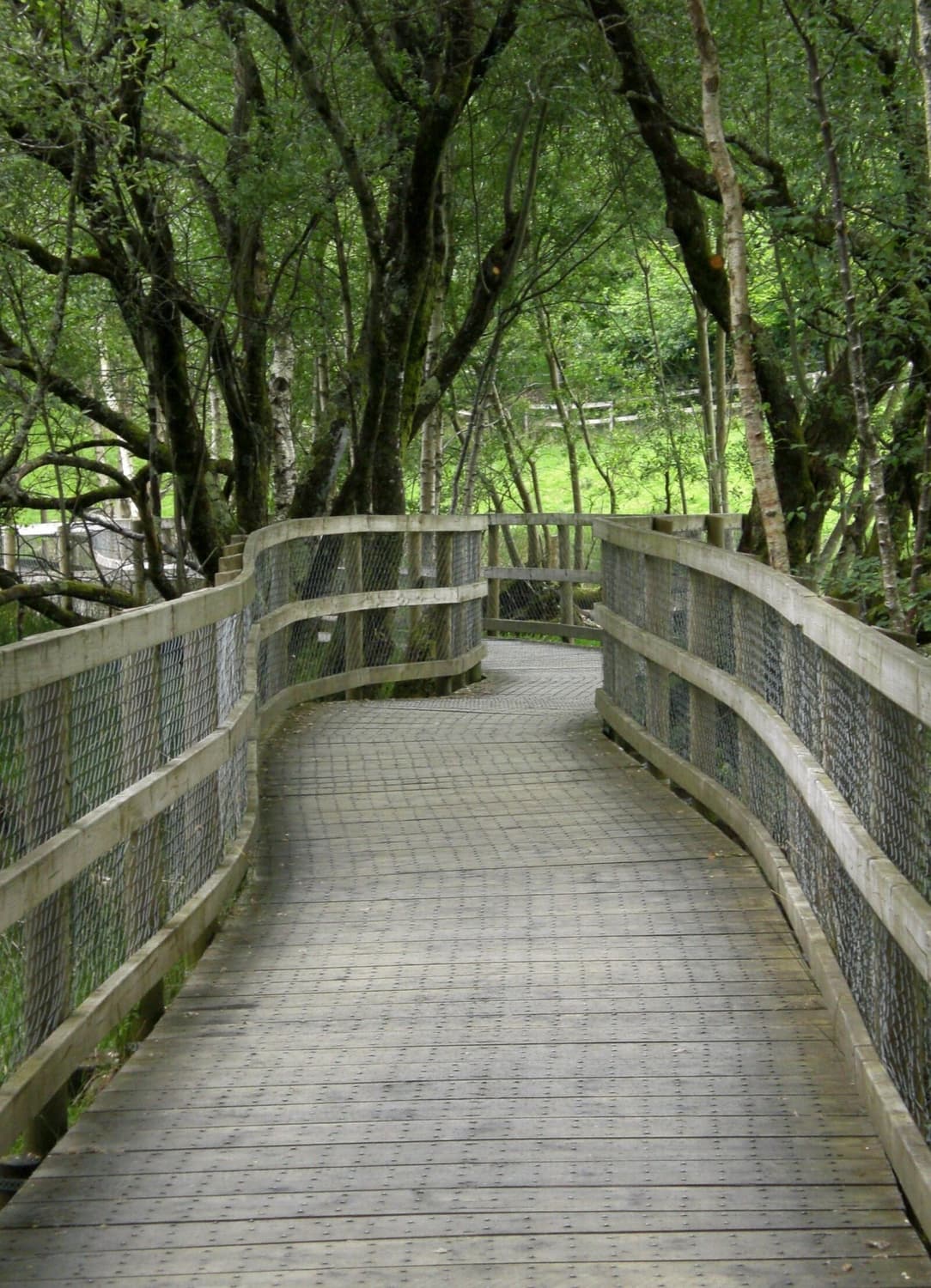 카시오 엑슬림 Casio Exilim EX-Z77 (레드) 상품이미지8