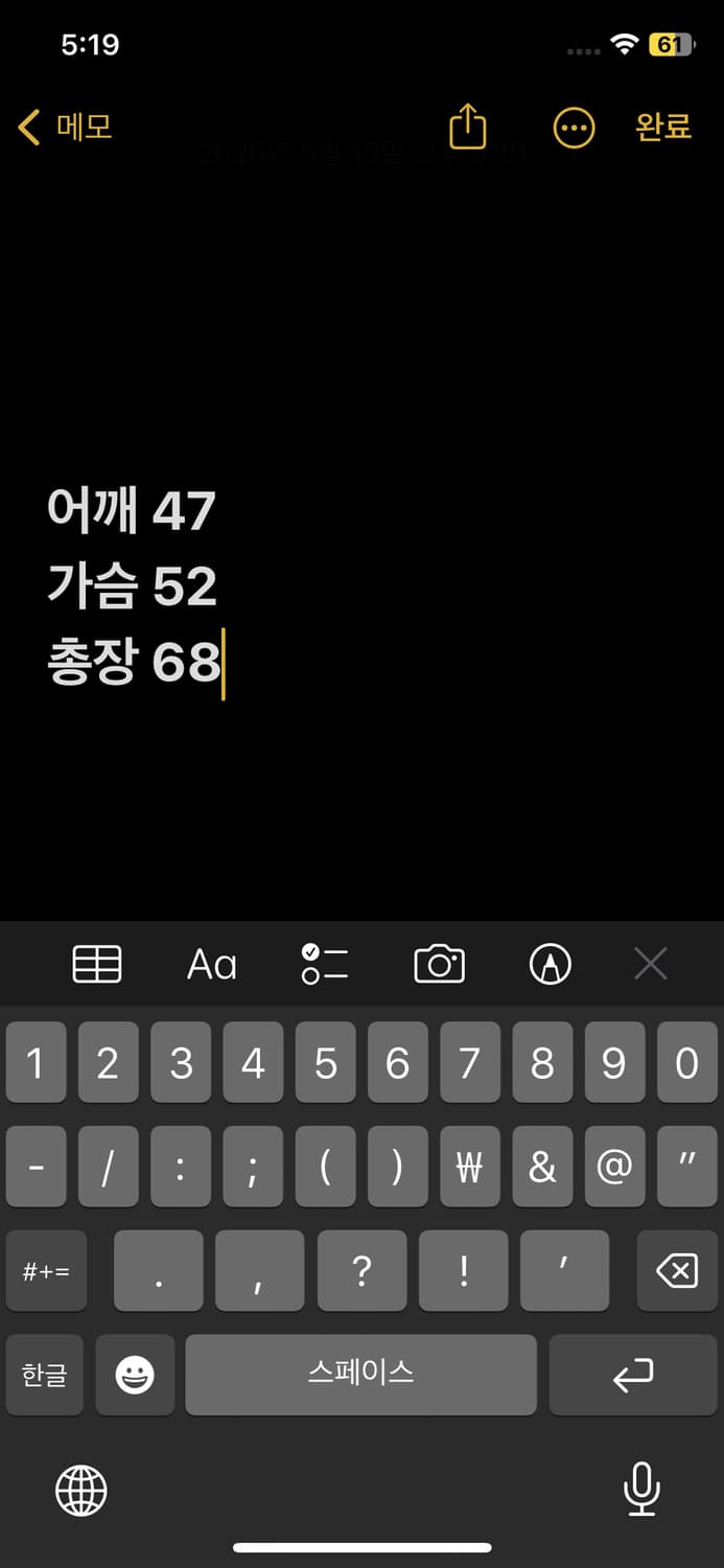 폴로랄프로렌 빅포니 롱슬리브 상품이미지8