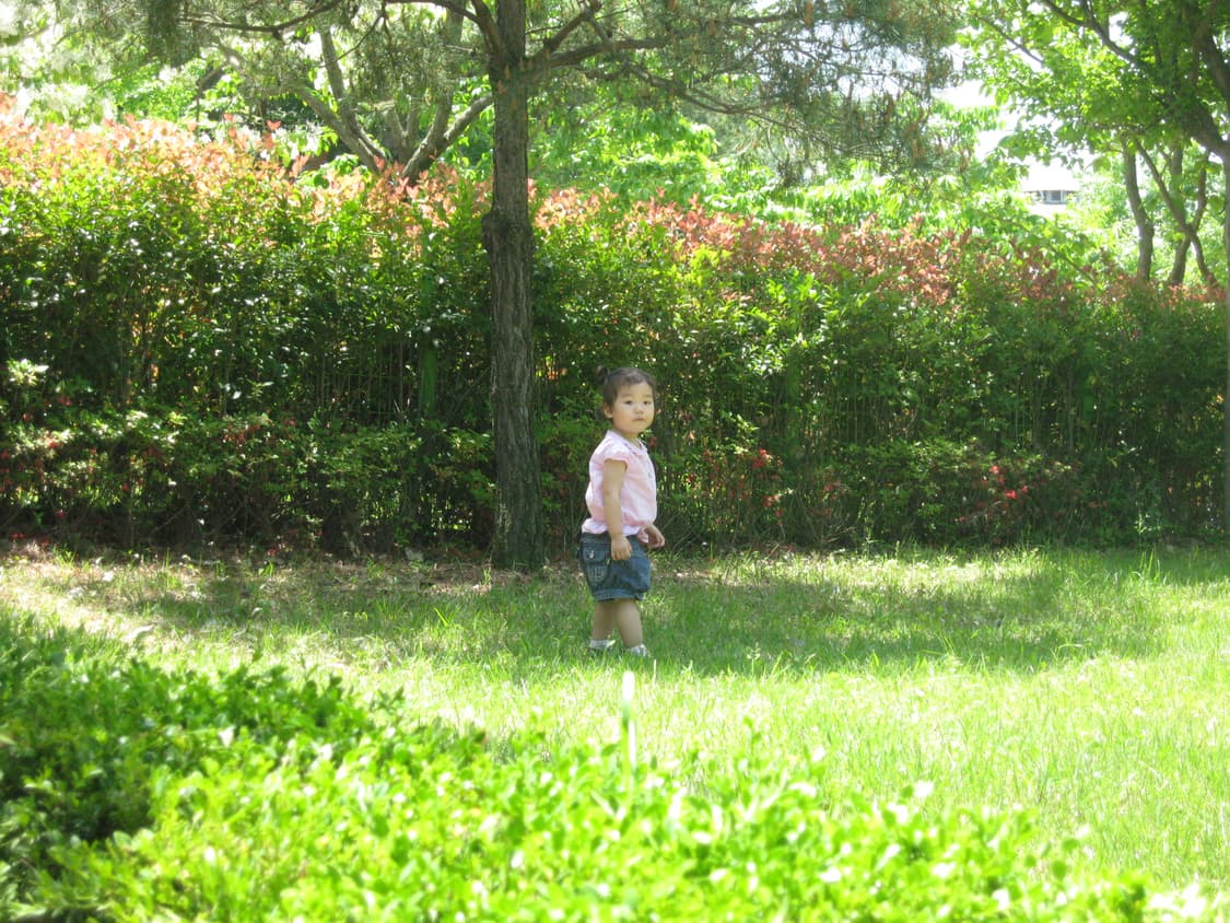 캐논 익서스 900ti 대여(SD900 / IXY 1000 작례0) 상품이미지5