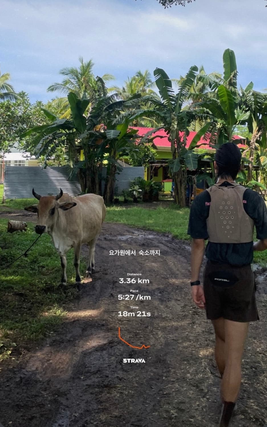 골드윈0 러닝조끼 러닝베스트 트레일백 상품이미지7