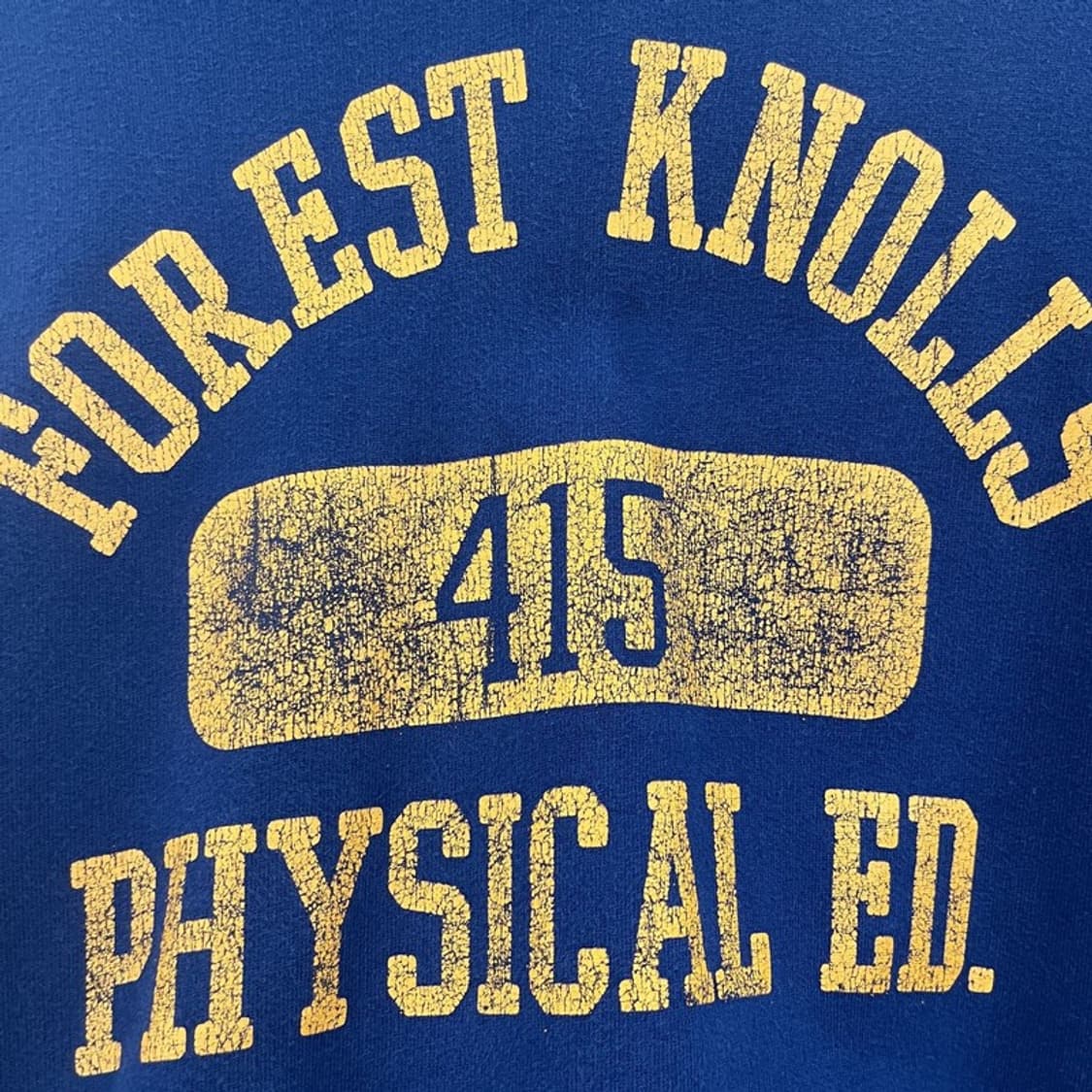 리바이스 골드탭 포레스트 놀스 레트로 빈티지 후드티 M C10513 상품이미지9