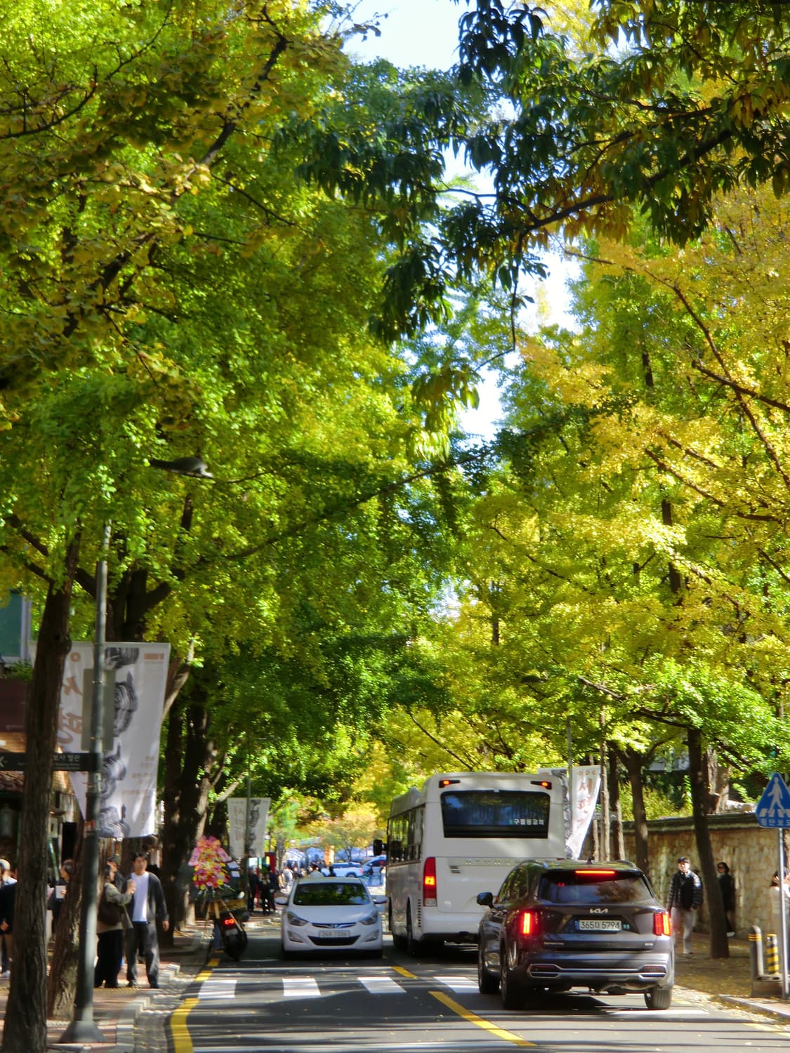 카시오 엑슬림 h15 casio ex h15 실버 상품이미지10