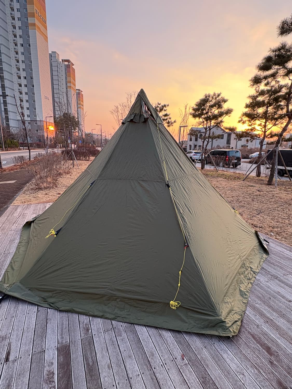 헬스포츠 패스빅 6-8  상품이미지2