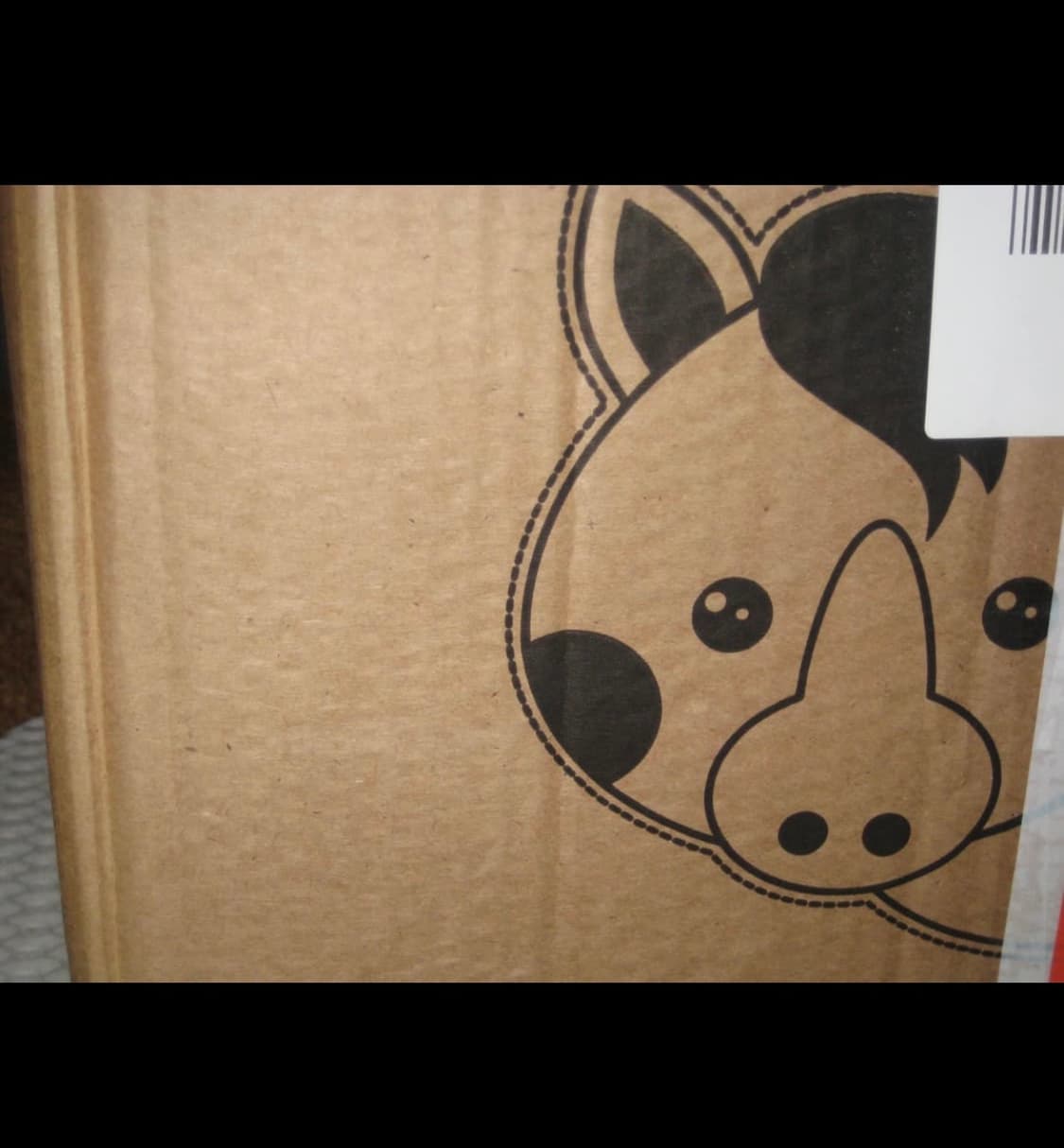 캐논 익서스 70 블랙 / IXUS70 상품이미지8