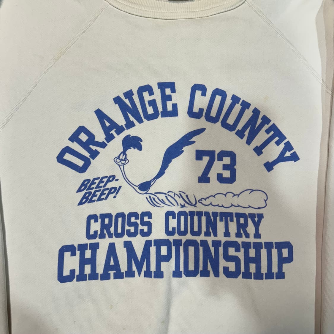 [L] 체스윅X워너브로스 로드러너 스웻셔츠 맨투맨 상품이미지2