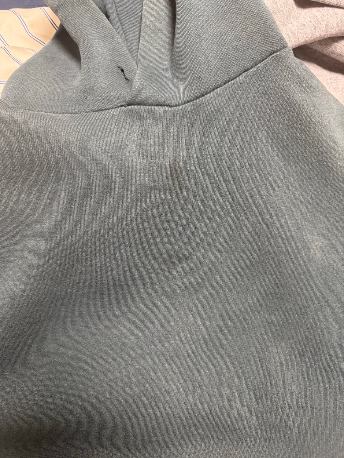 90s russell hoodie sage green 상품이미지5