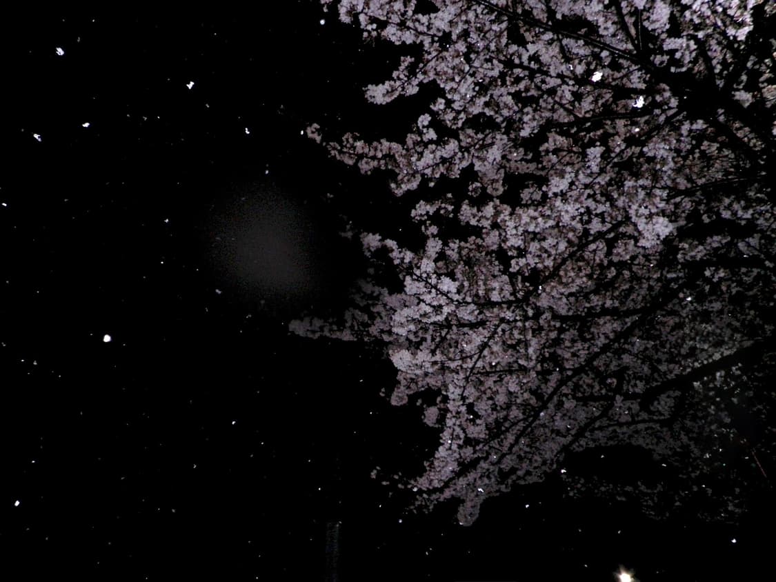 작례있음 김채원 디카) 후지필름 파인픽스 j30  상품이미지6